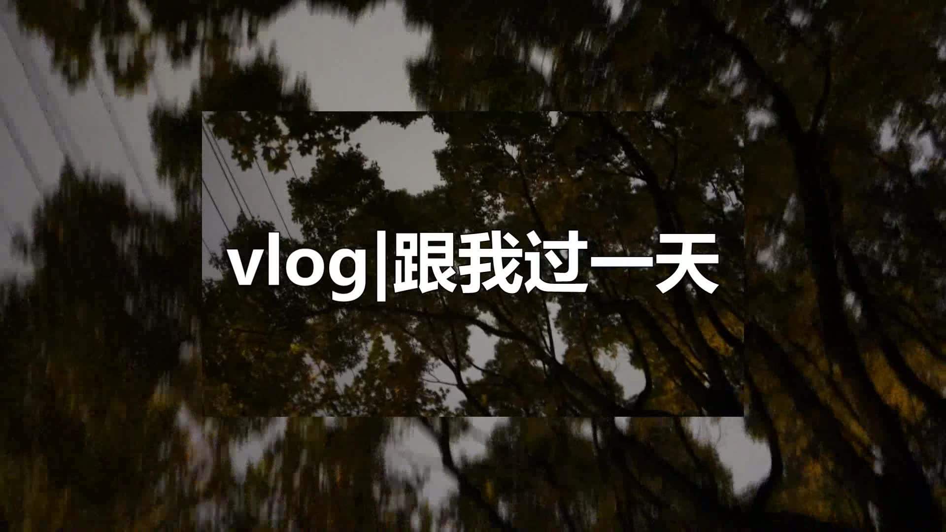 vlog红利之下:独立创作者的抉择