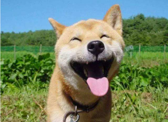 守护gdp什么意思_gdp什么意思