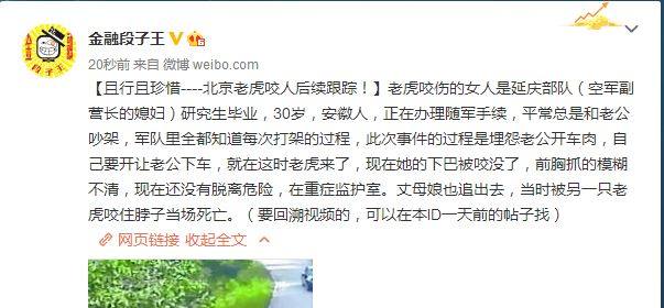 老虎咬人事件续女人老虎动物园谁的错