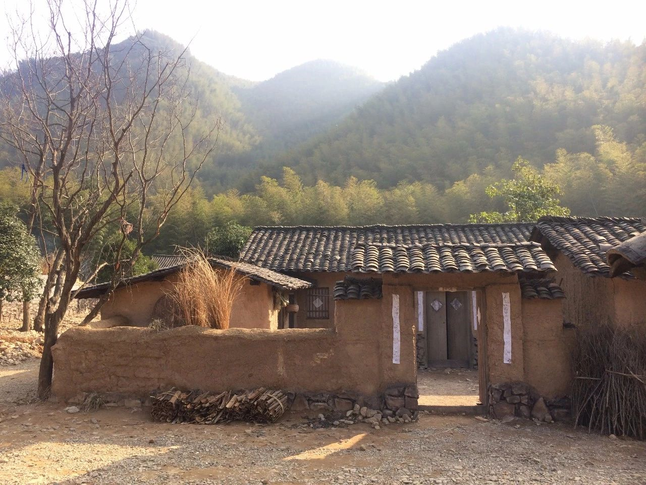 年度爆款剧《大江大河》中的小雷家村在哪里?-蓝鲸财经