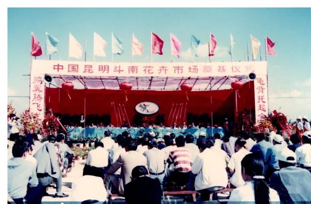 冲击世界第一的云南小镇：中国每10枝鲜花，就有7枝来自斗南