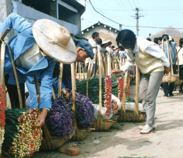 冲击世界第一的云南小镇：中国每10枝鲜花，就有7枝来自斗南