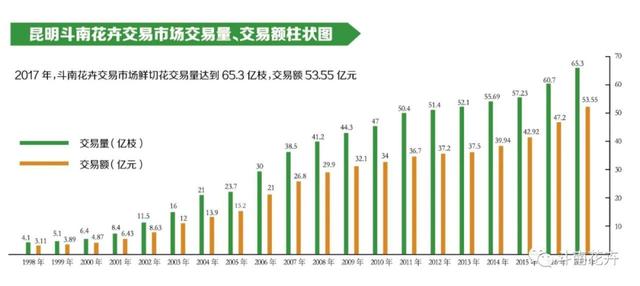 冲击世界第一的云南小镇：中国每10枝鲜花，就有7枝来自斗南