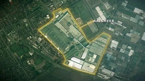 冲击世界第一的云南小镇：中国每10枝鲜花，就有7枝来自斗南