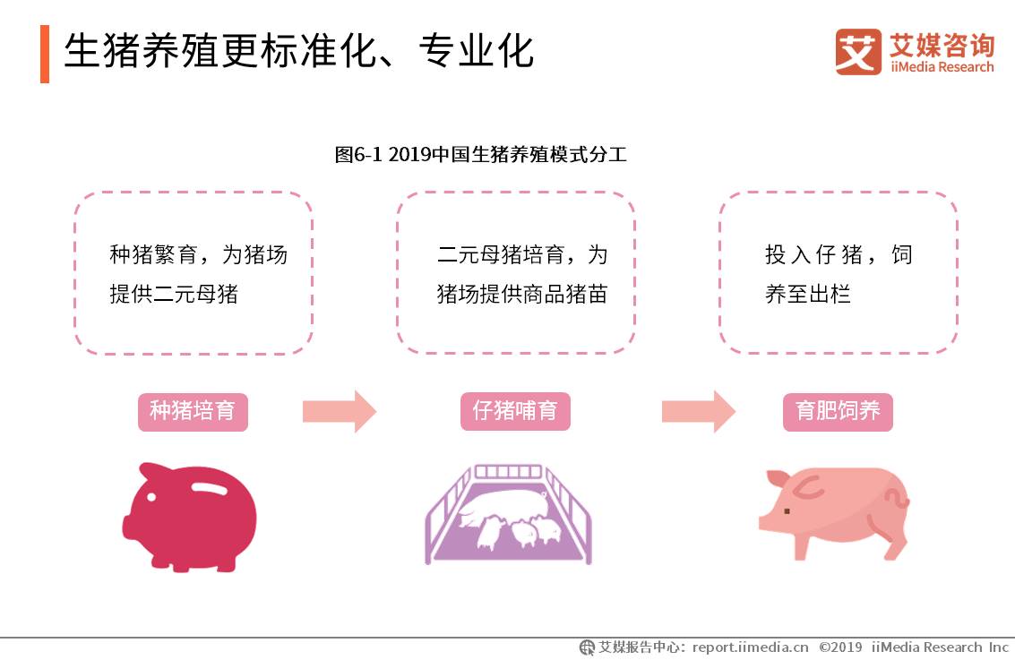生猪养殖更标准化、专业化