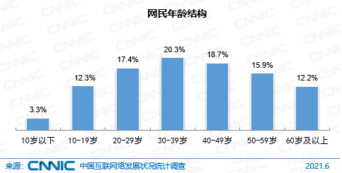 图29 网民年龄结构