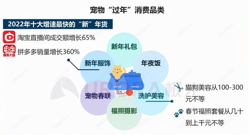 一年吸金超50亿元，宠物消费正被95后「重塑」