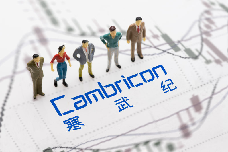 寒武纪连续三个交易日收盘价涨幅偏离值累计达30%以上，公告称：日常经营情况正常，未发生重大变化-蓝鲸财经